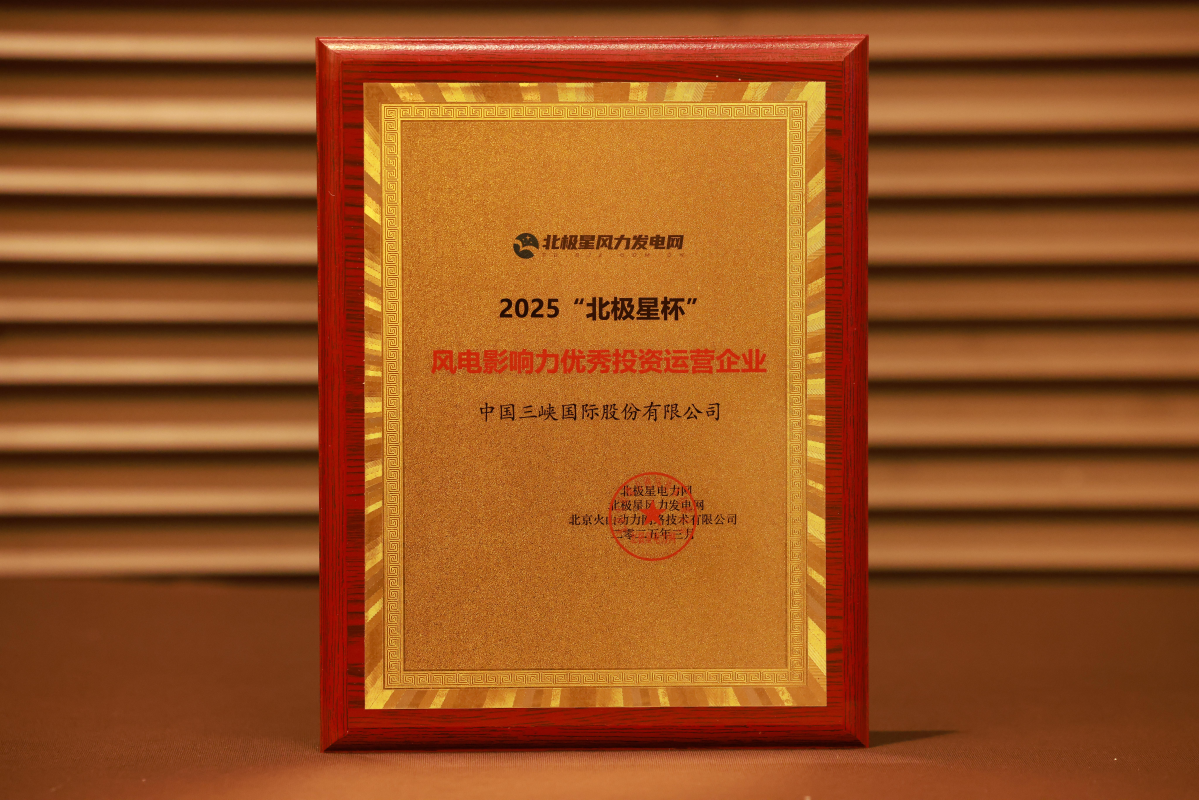 “風(fēng)電影響力·優(yōu)秀投資運(yùn)營(yíng)企業(yè)”獎(jiǎng)